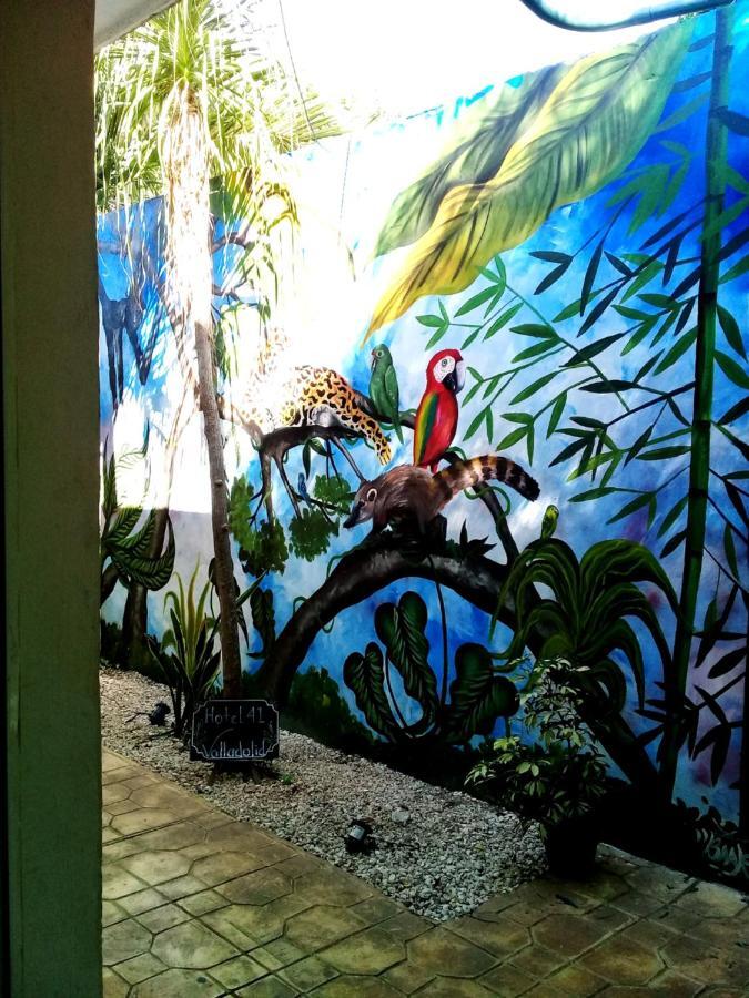 Hotel 41 Valladolid バリャドリッド エクステリア 写真